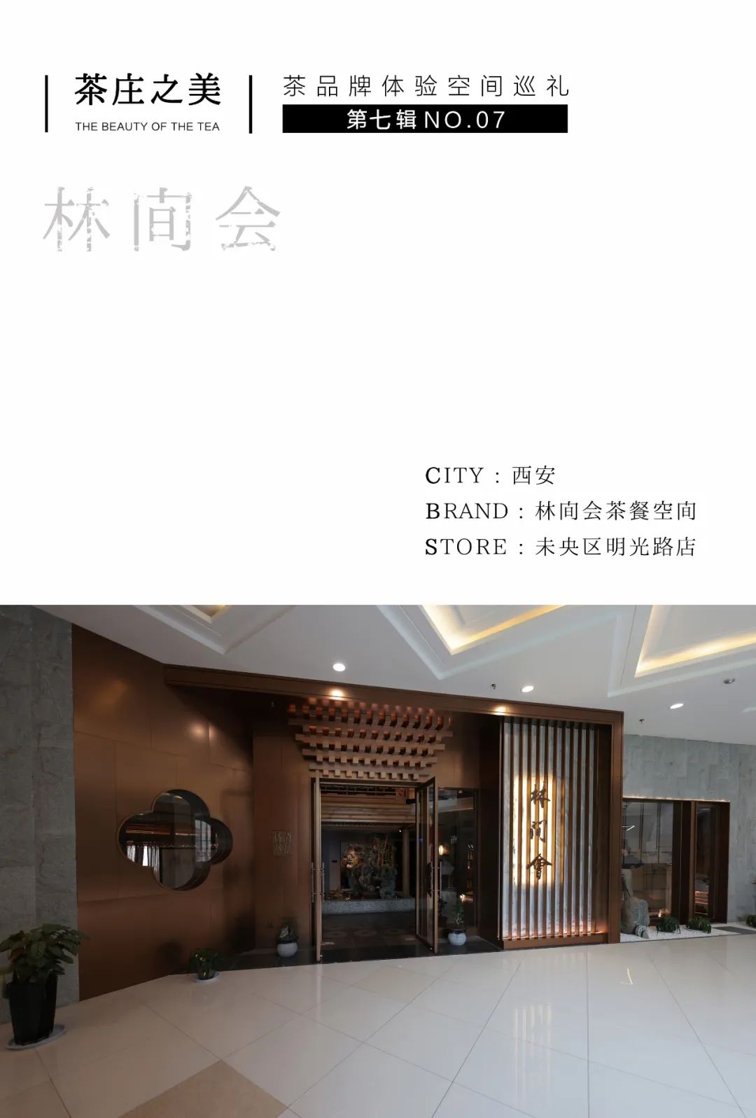 茶品牌體驗空間巡禮第七輯 | 林間會，中國式「森」系插圖