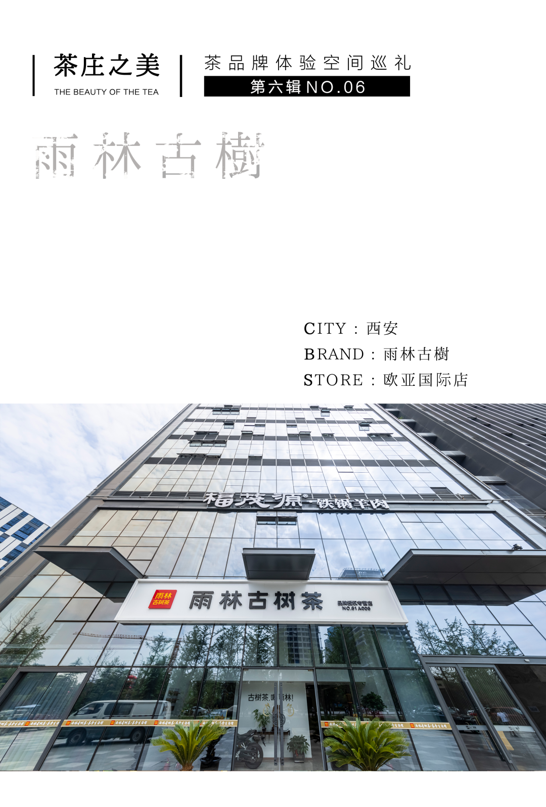 茶品牌體驗(yàn)空間巡禮第六輯 | 去雨林古樹(shù)，赴江南茶宴插圖1