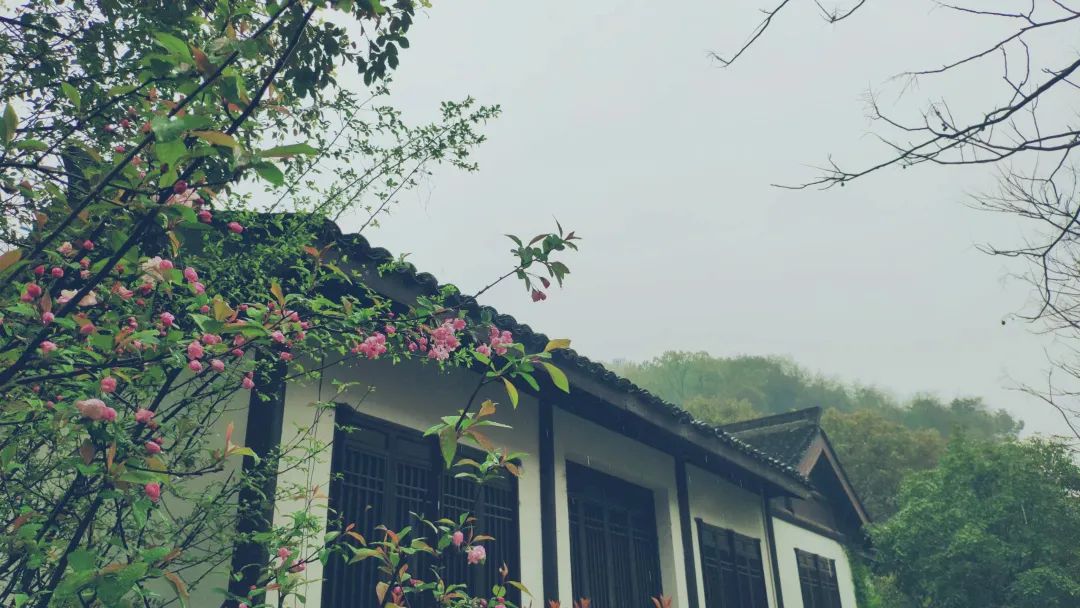 杭州茶書院啟幕 | 當代「韓熙載夜宴」，復現(xiàn)中國文人雅趣生活插圖16