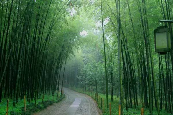 揭秘｜探班漢唐宣傳視頻拍攝現(xiàn)場插圖