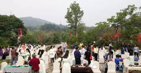 “漢唐杯”生活茶席設(shè)計(jì)比賽佳作頻出，完美落幕插圖